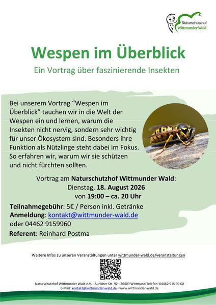 Vortrag: Wespen im Überblick
